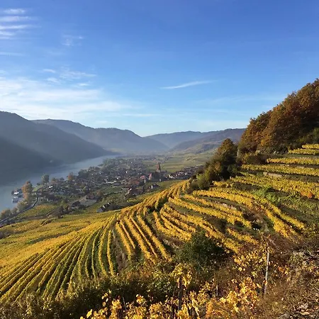 Homestay Weingut Langmayer Wosendorf in der Wachau