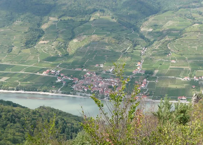 Weingut Langmayer Séjour chez l'habitant *