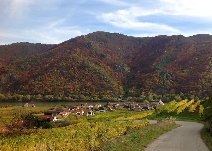 Weingut Langmayer Wösendorf