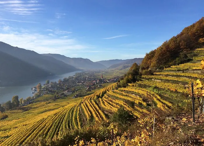 Privatunterkunft Weingut Langmayer Wösendorf